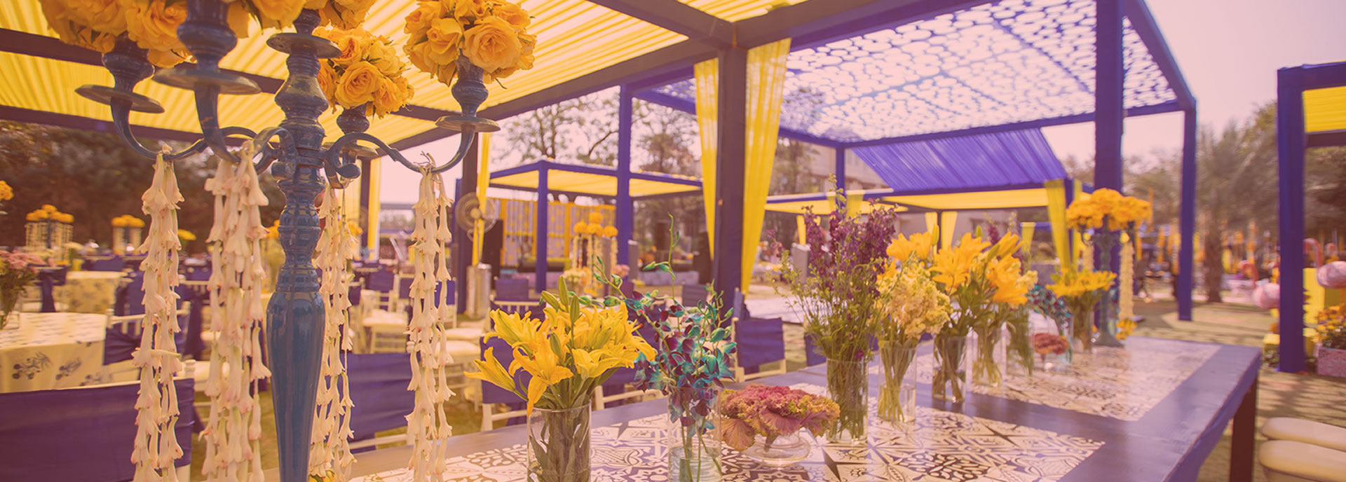 dream wedding planner